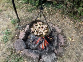 30.06.23 Eberbach – Edesheim