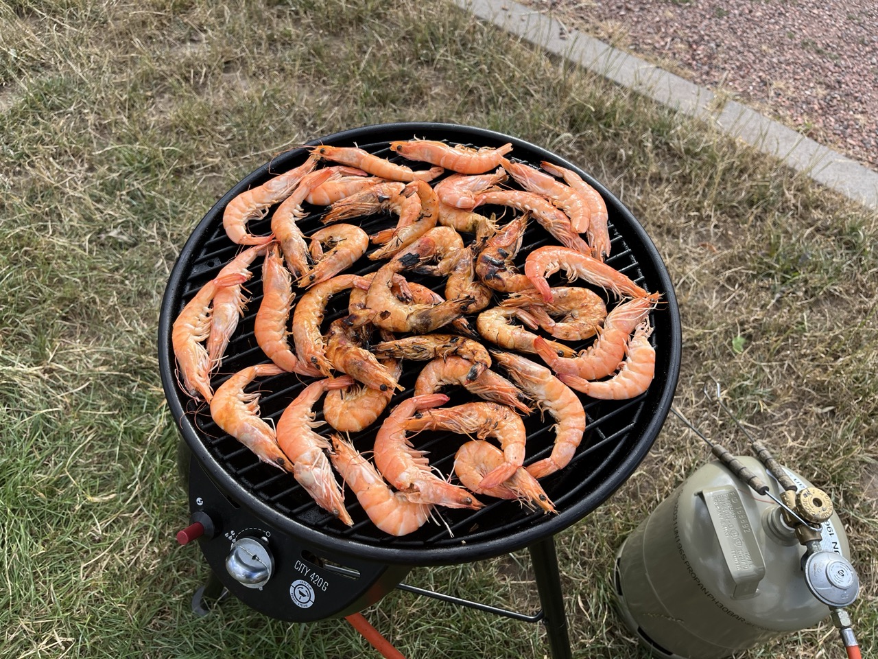 Mehr über den Artikel erfahren 05.07.23 Saarbrücken