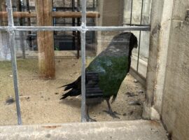 01.07.24 Hohenmölsen, Weissenfels und Merseburg