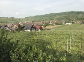 30.04.18 Burkheim