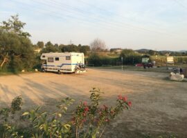 11.08.15 Weingarten – Cham