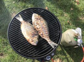 04.10.19 Castelletto