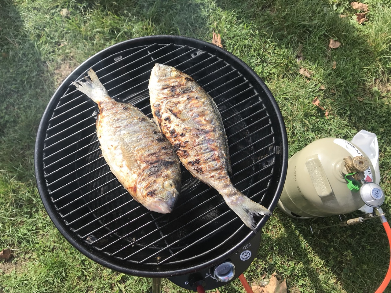 Mehr über den Artikel erfahren 04.10.19 Castelletto