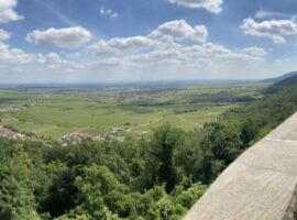 25.+26.05.20 Edesheim und Neustadt