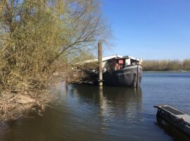 26.03.17 Weingarten – Neuburg