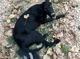 25.09.20 Diamante – Ceprano