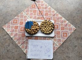 04.10.24 Waldshut-Tiengen – Weingarten