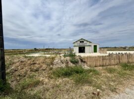 03.07.25 Saint Clément des Baleines – Bourcefranc