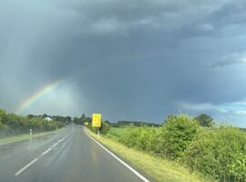 17.07.26 Rhinau – Weingarten