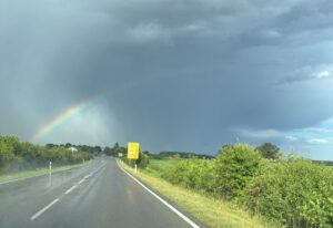 17.07.26 Rhinau – Weingarten